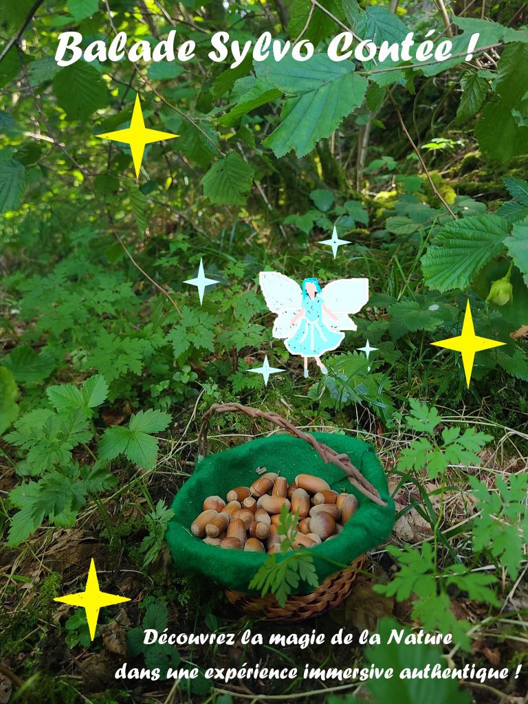 Affiche sylvo contée