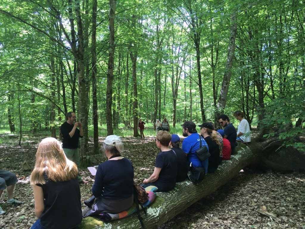 Balade à pas contés du Souchet