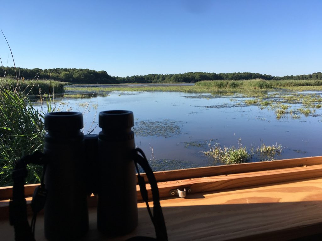 Malzoné aux couleurs du printemps