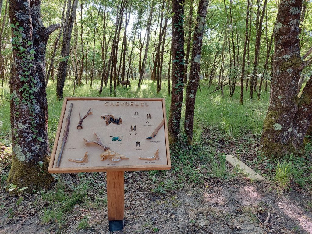 Sentier traces et indices